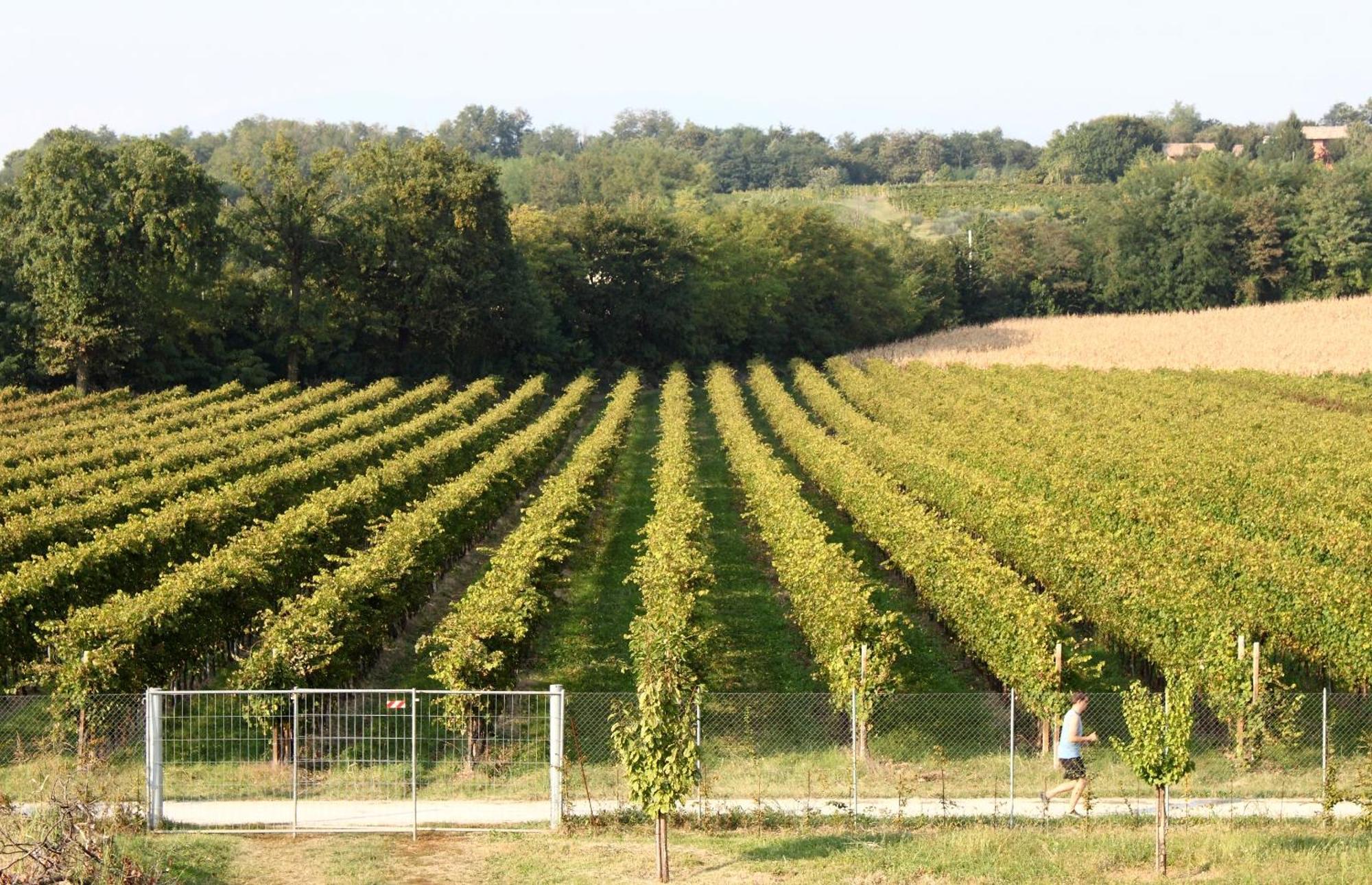 Caspineda Agriturismo มอนเตเบลลูนา ภายนอก รูปภาพ
