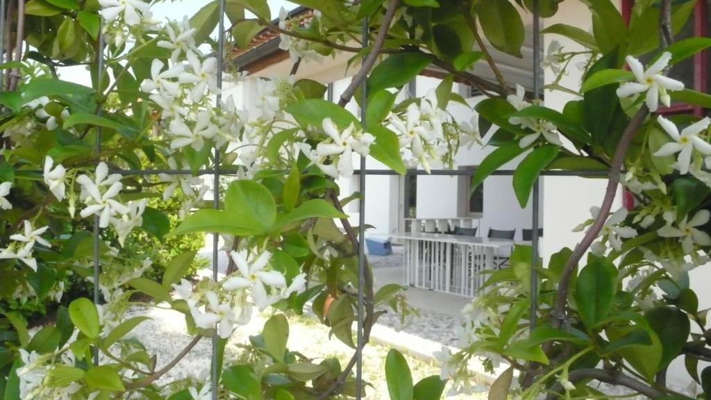 Caspineda Agriturismo มอนเตเบลลูนา ภายนอก รูปภาพ